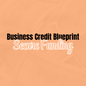 Business Credit Blueprint